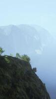 A misty mountain landscape with towering trees on a rugged cliff video