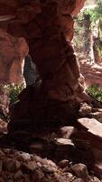A mystical cave with an enchanting display of rocks and lush vegetation video