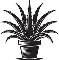 Creative aloe vera in planter shadow design on a pristine white backdrop vector