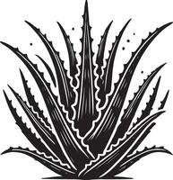 Creative aloe vera shape icon design on white surface vector
