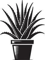 Dynamic aloe vera in pot shape shadow illustration on white background vector