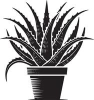 Artistic aloe vera in a sleek container shadow on a clean white canvas vector