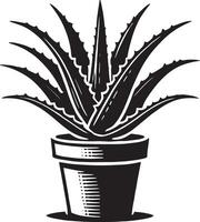 Textured aloe vera in a planter shadow illustration on white background vector