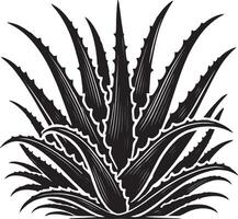 Simplistic aloe vera icon shape shadow against a white surface vector