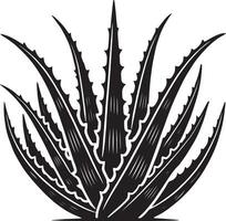 Timeless aloe vera artwork in silhouette on white vector