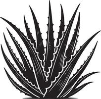 Stunning aloe vera shadow design on a clean white backdrop vector