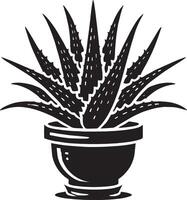 Vibrant aloe vera in a planter silhouette on a white canvas vector