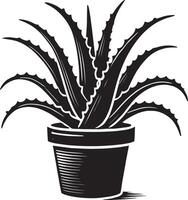 Modern aloe vera plant in pot shadow artwork on white background vector
