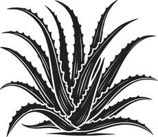 Graceful aloe vera shape icon on plain white background vector