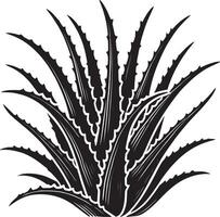 Artistic aloe vera shadow artwork on a crisp white canvas vector