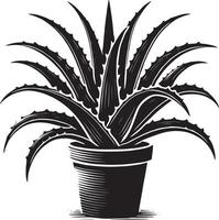 Delicate aloe vera in a container silhouette illustration on white vector