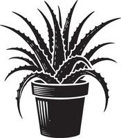 Simple aloe vera potted plant shadow illustration on clean white vector