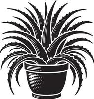 Elegant aloe vera in a pot silhouette design on white background vector