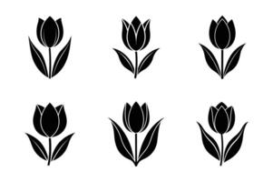 Enhance your designs with this flower silhouette and floral clipart bundle. Perfect for digital and printable projects. vector