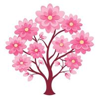 Pink And Red Cherry Blossom Tree In Full Bloom vector