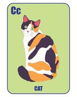 Educational flashcard with letter C, cat illustration, and text, perfect for kids learning the alphabet. vector