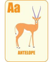 Educational flashcard with letter A, antelope illustration, and text, perfect for kids learning alphabet vector