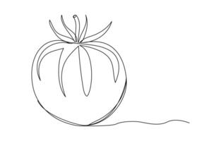 Continuous one line tomato for grocery store printing on posters vector
