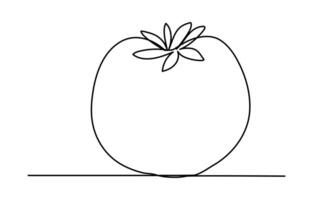 One continuous line drawing Tomato vegetable. Tomato single line illustration. vector