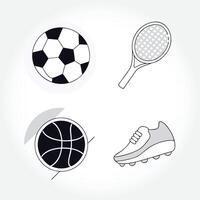 a picture of a soccer ball and a basketball. vector