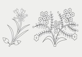 Set of outline botanical flowers Collection, coloring book element for children and Adult vector