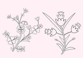 Hand drawn flower coloring page for kids and adults, Outline floral pattern element vector