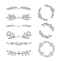 Ornamental hand drawn types of frame and dividers vector