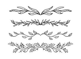 Hand drawn botanical floral elements in line art and silhouette style. vector