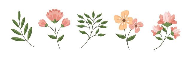 Spring flower drawings in vintage style vector
