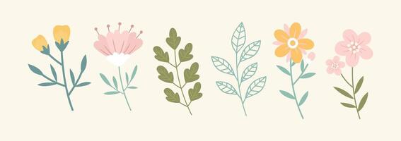 Collection of spring colorful flower elements . vector