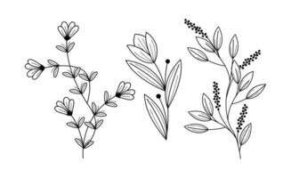 Hand drawn nature flower on black colour vector