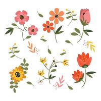 Collection of floral and botanical elements vector