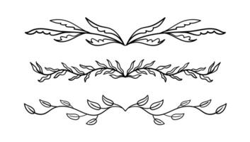 Hand drawn botanical floral elements in line art and silhouette style. Flowers, branches and leaves. vector