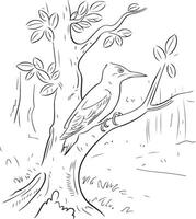 Creative Bard Graphics for Fantasy vector