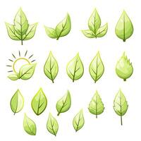 large collection of green leaf icons vector