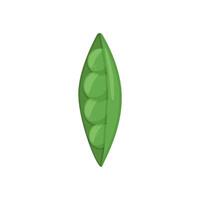 Green pea. The end of the pod of green peas. image. Isolate on a white background. Element for packaging design. vector