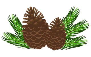 Pine cones with pine branches isolated on white background. illustration vector