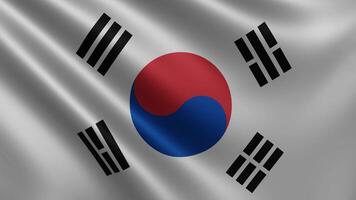 The flag of South Korea flutters in the wind close-up, the national flag of video