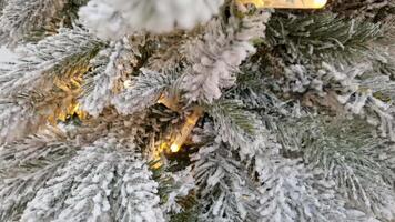 Snowdusted pine branches with twinkling lights capture the essence of festive winter ambiance. video