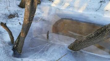 Breaking ice on frozen pond as tree branches move in winter forest. video