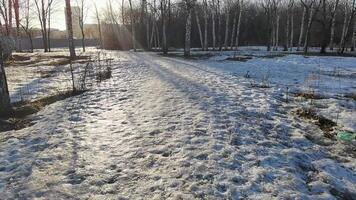 Winter sunrise illuminating a snowcovered park path with long shadows and bare trees in the city. video