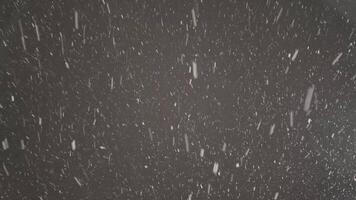 Mesmerizing winter night snowfall captured in slow motion with graceful flakes dancing through the air. video