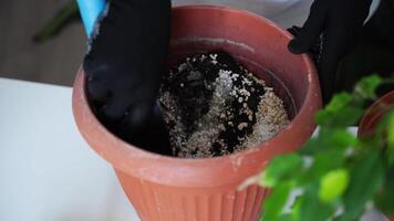 Hands preparing soil by mixing fertilizer with potting mix in large terracotta plant pot video