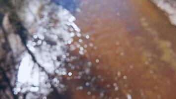Abstract nature patterns sunlit water reflections and tree silhouettes in a gentle flowing river scene. video