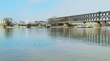 Birds glide over riverside reflections as boat passes underneath steel bridge in tranquil urban setting at dawn. video