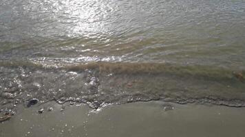 Gentle ocean waves lapping at sunlit sandy shore in tranquil beach scene. video