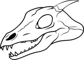 Drawing Dinosaur Skull Outline Fossil Illustration for Educational Use vector