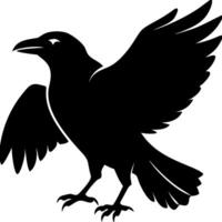 Silhouette of a Crow with Outstretched Wings Symbolizing Freedom and Mystery vector