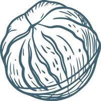 Hand Drawn Illustration of Walnut Shell Design for Culinary and Botanical Uses vector