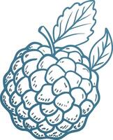 Raspberry Illustration with Leaves for Decorative Design and Graphics vector